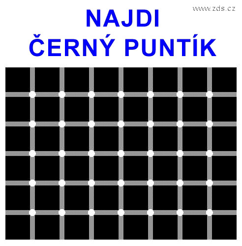 7e81662c56_817829_o2